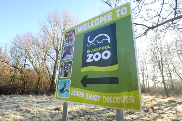 Blackpool Zoo antelopes hoping for a brand new pad to match big cats and elephants