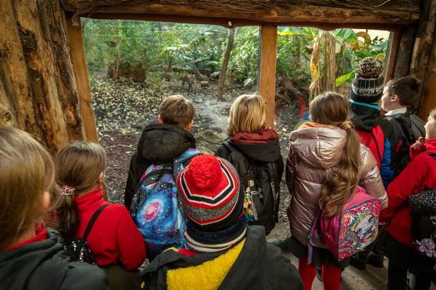 Chester Zoo is giving away 35,000 free tickets to schoolchildren