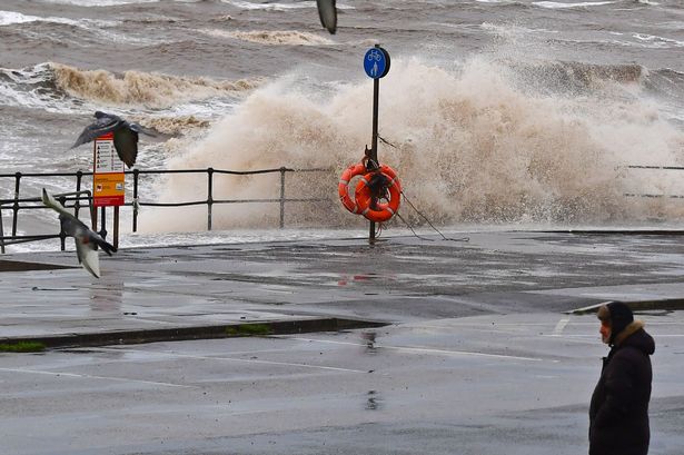 ‘Fit and healthy’ Dad who was ‘always smiling’ killed by falling tree during Storm Debi