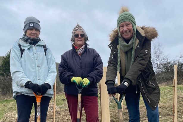 Volunteers needed to help plant tree for every child in Rossendale