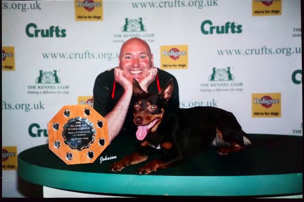 Dog owner left with serious PTSD by crash became record breaker thanks to ‘1-in-a-million’ pooch