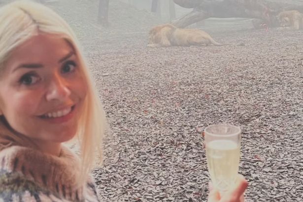 Inside Holly Willoughby’s ‘lions and lie-ins’ birthday weekend as she turns 43