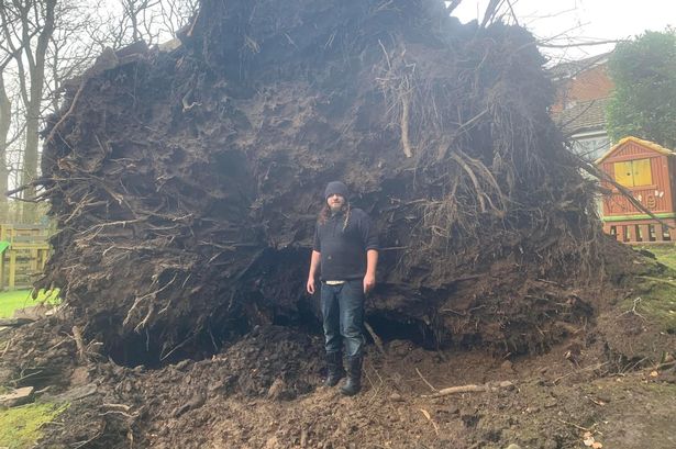 Wood sculptor ‘felt thud through house’ as storm felled huge tree – and gave him his ‘biggest challenge yet’