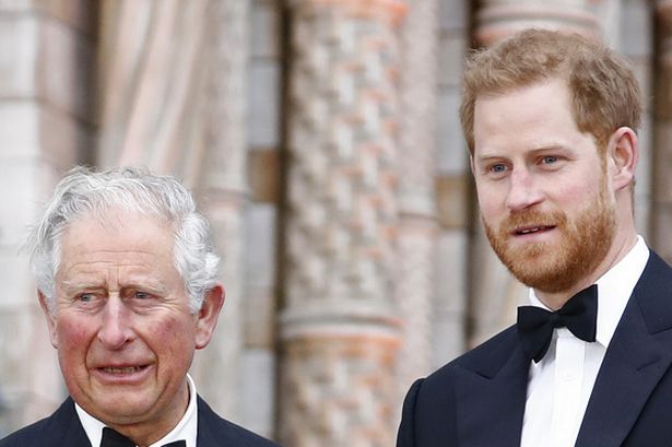 ‘Prince Harry was happy with his visit to King Charles – there was no anxiety’