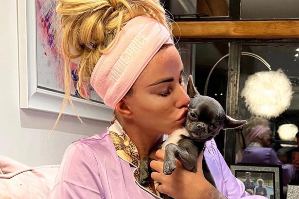 Katie Price offered £5k to stop getting pets after she’s slammed for setting ‘dangerous example to kids’