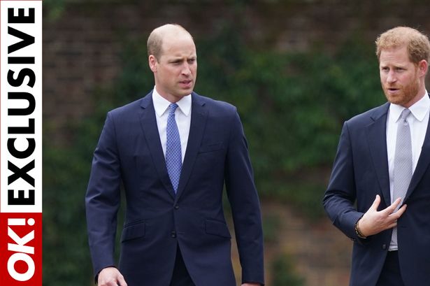 Prince Harry ‘still believes he’s the victim’ as William set to cut brother out