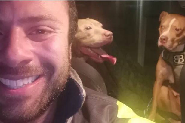 Man who ‘rescued’ XL bully slammed after dog he transported to Scotland is shot dead