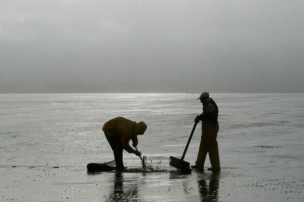 How the deaths of 23 Morecambe Bay cockle pickers led to new laws