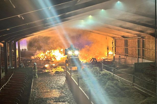 Mrs Dowsons Farm fire sees lambs and cows rescued from lambing barn blaze