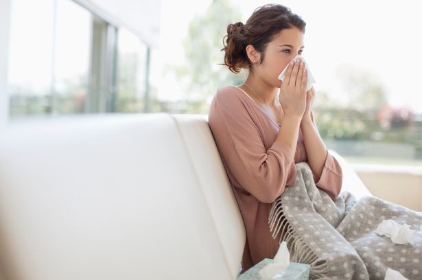 Shark rivals Dyson with new air purifier that ‘dramatically improves’ air quality and reduces allergy symptoms