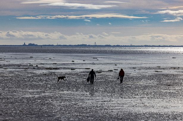 Lancashire beach issues new £100 fine warning to everyone with a dog