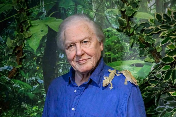 Sir David Attenborough immortalised in wax at Madame Tussauds Blackpool