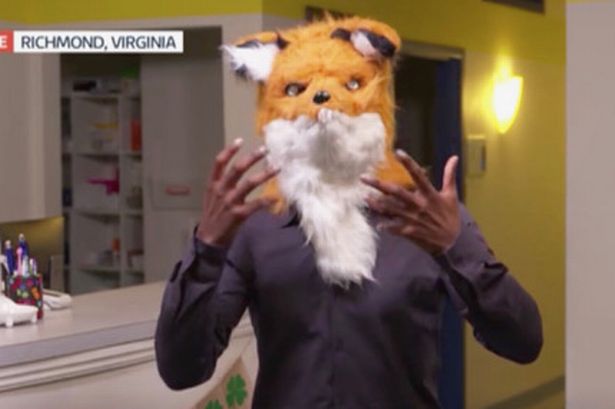 GMB viewers in hysterics as presenter gets head stuck in fox costume during live news broadcast