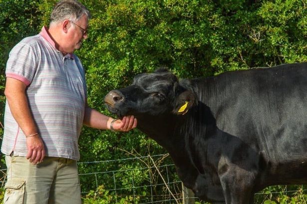 Darwen Market says farewell to legendary butcher after more than 50 years