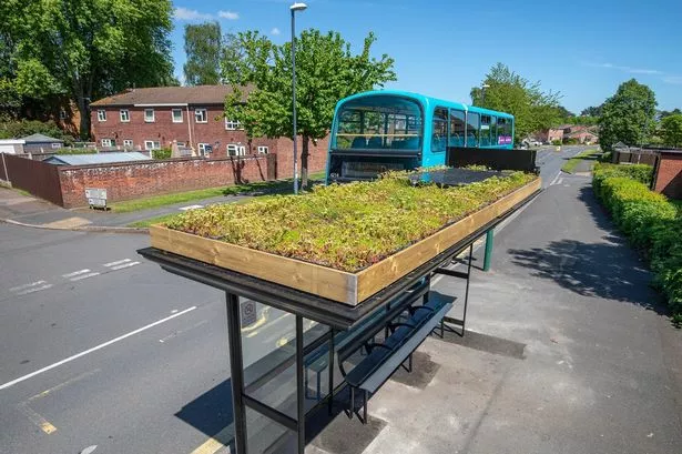 Bee-friendly bus shelters coming to five stops in Chorley for nature initiative