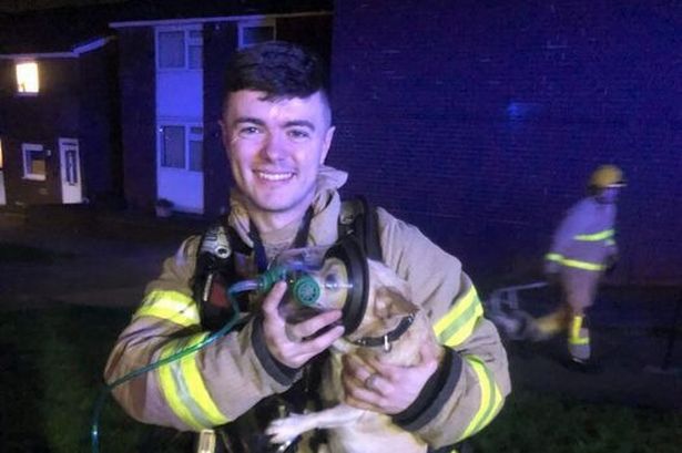 Brave fire crews rescue plucky little pooch from house blaze in Hyndburn