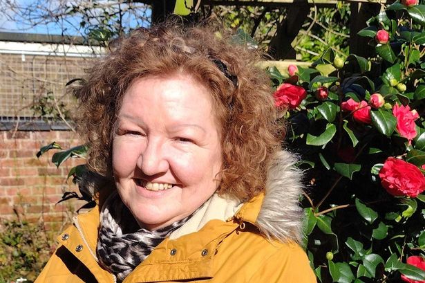 Ashton Park campaigner seeks election after battling against £9.7m revamp