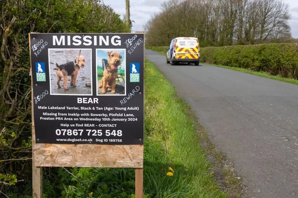 A heartbroken family ‘dragged into world of lost dogs’ in UK pet theft hotspot