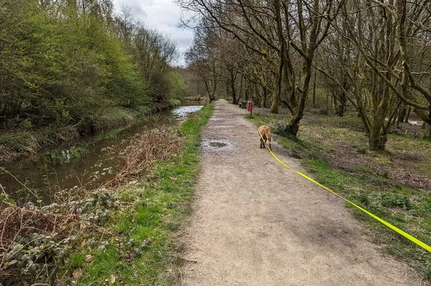 We visited ‘absolute gem’ of a country park and found perfect dog-friendly café