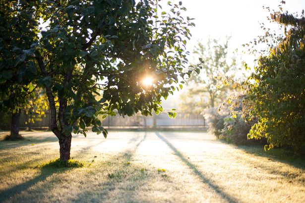 Met Office weather warning issued to all gardeners across the UK