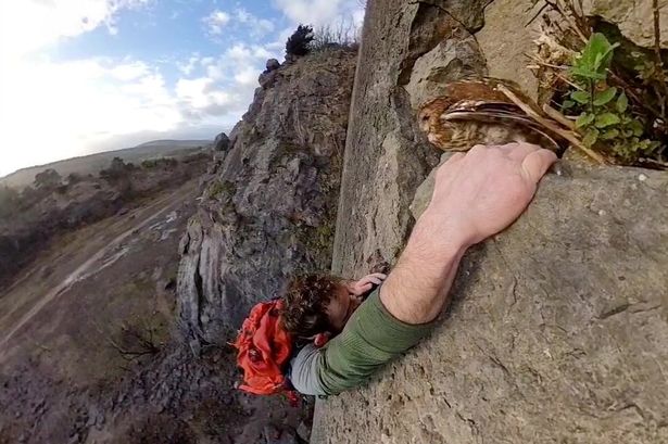 Moment climber with no ropes disturbs hidden owl – but manages to hang on