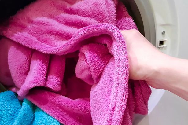 Laundry expert warns washing towels wrong ‘breeds bacteria’ – how to do it properly