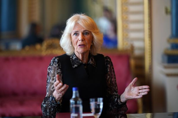 Queen Camilla calls for new initiative to help tackle domestic abuse issues