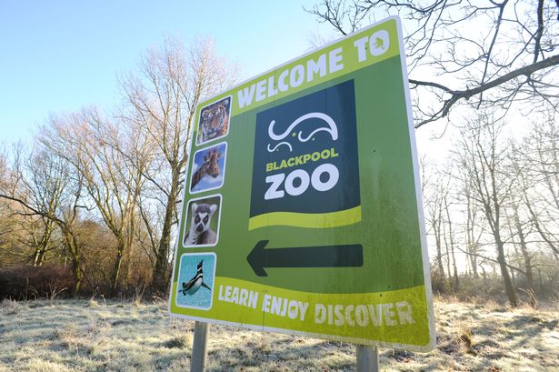 Swanky new pads for Blackpool Zoo’s antelopes get green light from planners