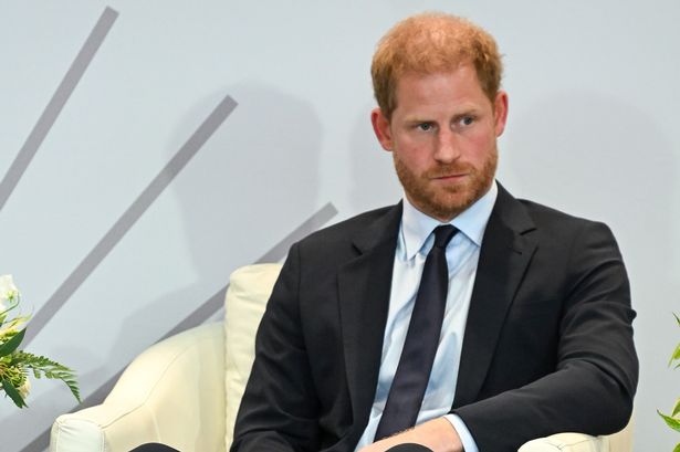 Prince Harry ‘will have to see’ King and Prince William during UK return – ‘no one is fooled by excuses’