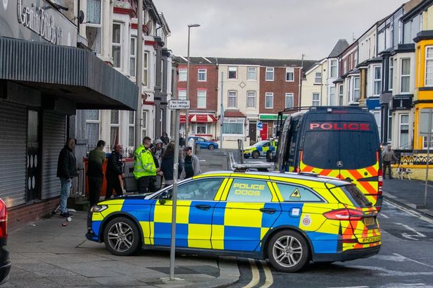 Armed police seize XL bully after woman injured in Blackpool dog attack