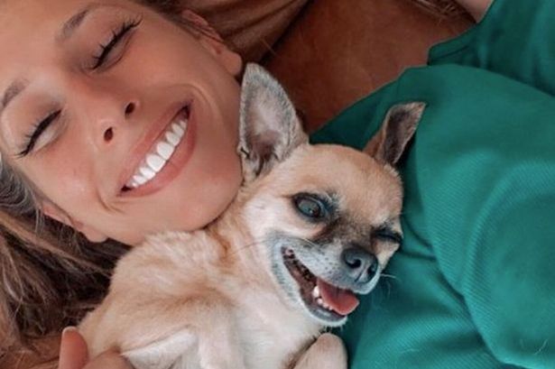 Stacey Solomon pens emotional tribute to beloved dog after sad loss