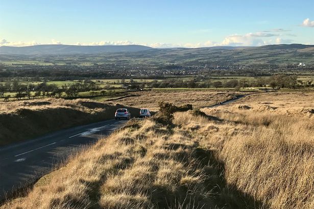 Horticulture firm boss blasts ‘disastrous anti-farming policies’ and questions council’s climate change work