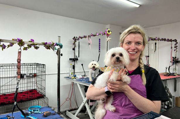 ‘Rogue neighbour’ complaint over poo put popular Darwen dog grooming spot under threat