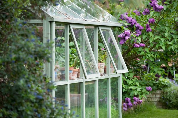 £6 item will help gardeners achieve ‘plant perfection’, says expert