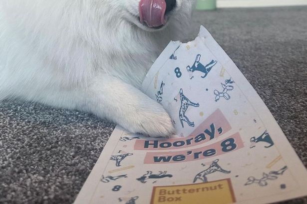 High-end retailer signs deal to sell Chorley-made edible greeting cards for dogs