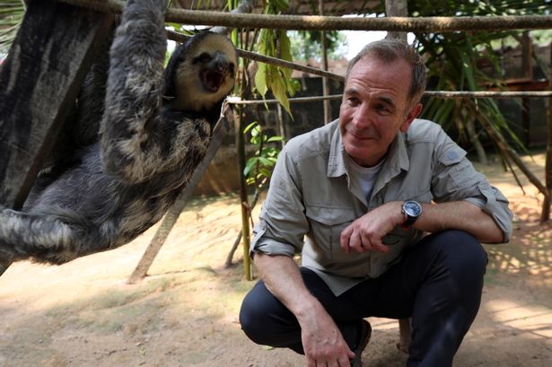 Robson Green stung multiple times after ‘stepping on hornets nest’ filming new TV show