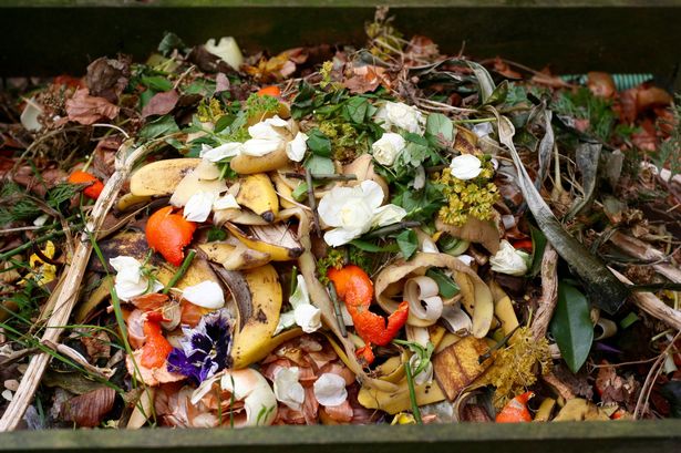 Lancashire bin shake-up incoming as households told to split food waste