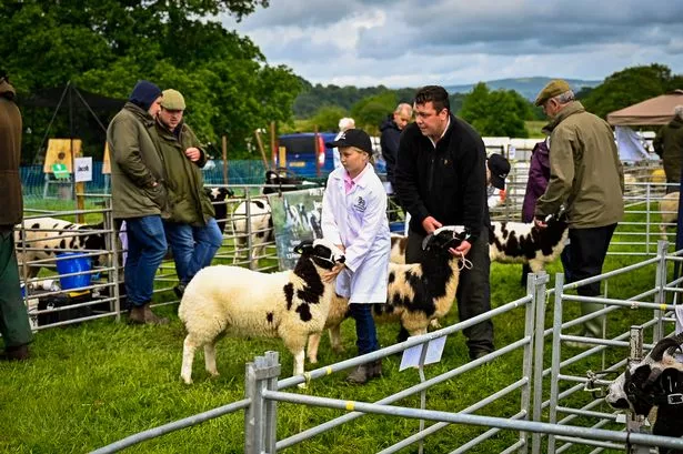 Thousands get into festival spirit at Great Harwood Agricultural Show despite rain