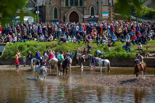 Second horse dies at Appleby Fair after showing ‘all the signs of exhaustion’