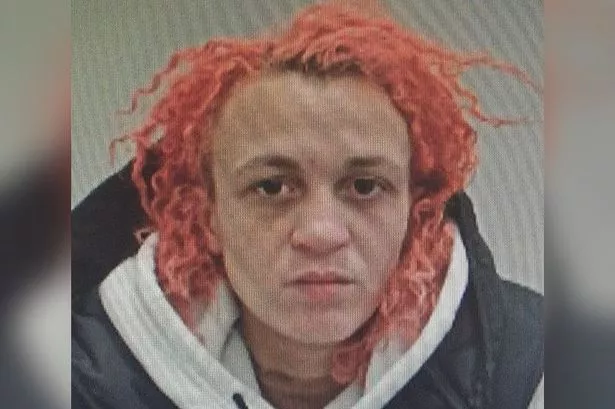 Police appeal to find woman, 30, wanted over harassment incident