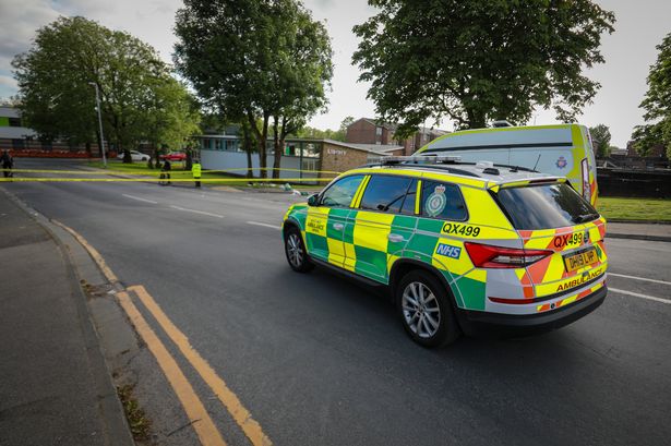 Horror in library as ‘extremely distressed’ man takes knife to own neck before being tasered by police