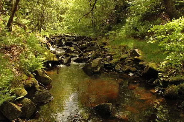 The 5 best family paddling hotspots in Lancashire