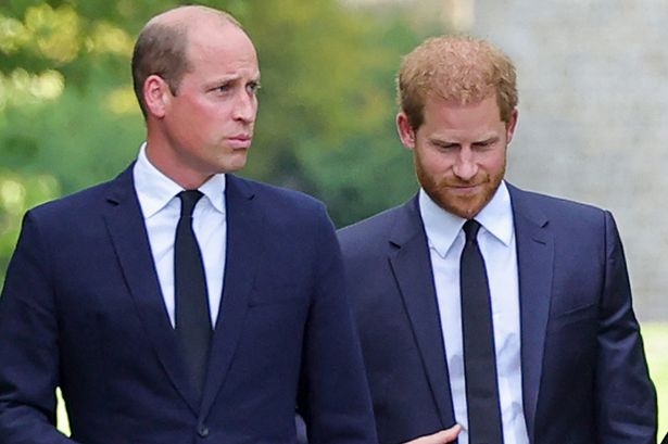 Prince William has ‘blanked out’ problem brother Harry – but there is a glimmer of hope for their relationship