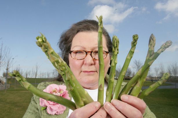 Fortune teller who uses asparagus to predict future says England will WIN Euro 2024