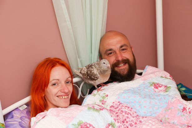 ‘I force my husband to share a bed with our pet pigeons who kiss and cuddle us’