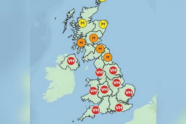 Hay fever alert as UK braces for ‘very high’ pollen levels amid rising temperatures