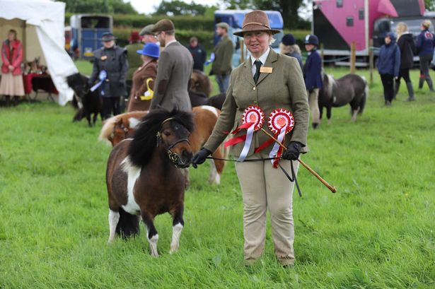 Fire, rain, spiralling costs and bird flu – Great Harwood Agricultural Show must go on after 155 years