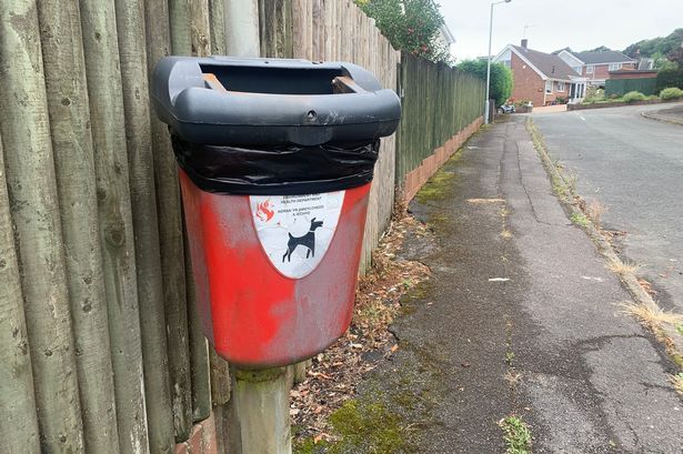 Dog poo crackdown in Blackburn and Darwen after council flooded with 80 complaints