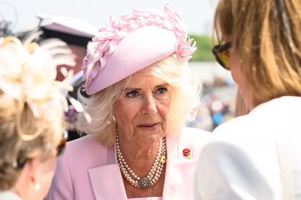 The sweet and powerful reason Queen Camilla wore pink to D-Day anniversary event