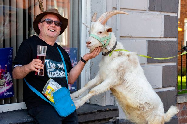 Tributes as much-loved goat famed for trips to local pub dies